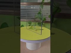 6mm heldere massieve plaat